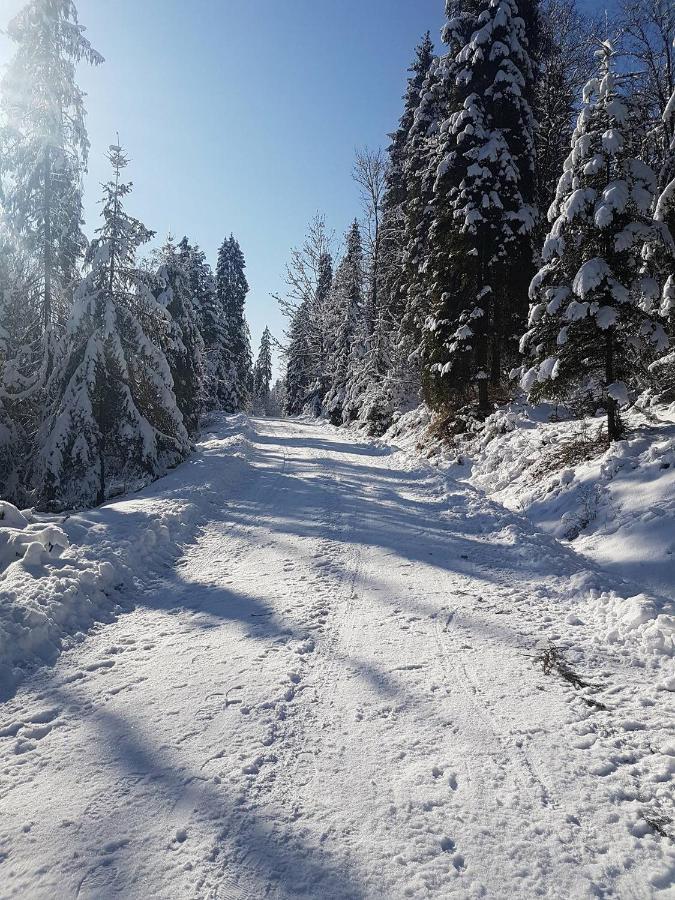 Skalny Zakatek Z Grota Solna Na Wylacznosc *