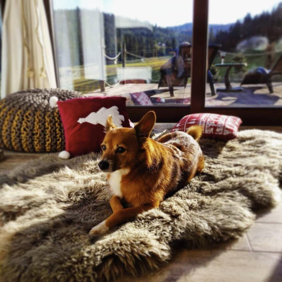 Skalny Zakatek Z Grota Solna Na Wylacznosc Holiday home Lapsze Nizne